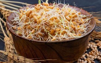 روغن جوانه گندم معجزه ای برای زیبایی