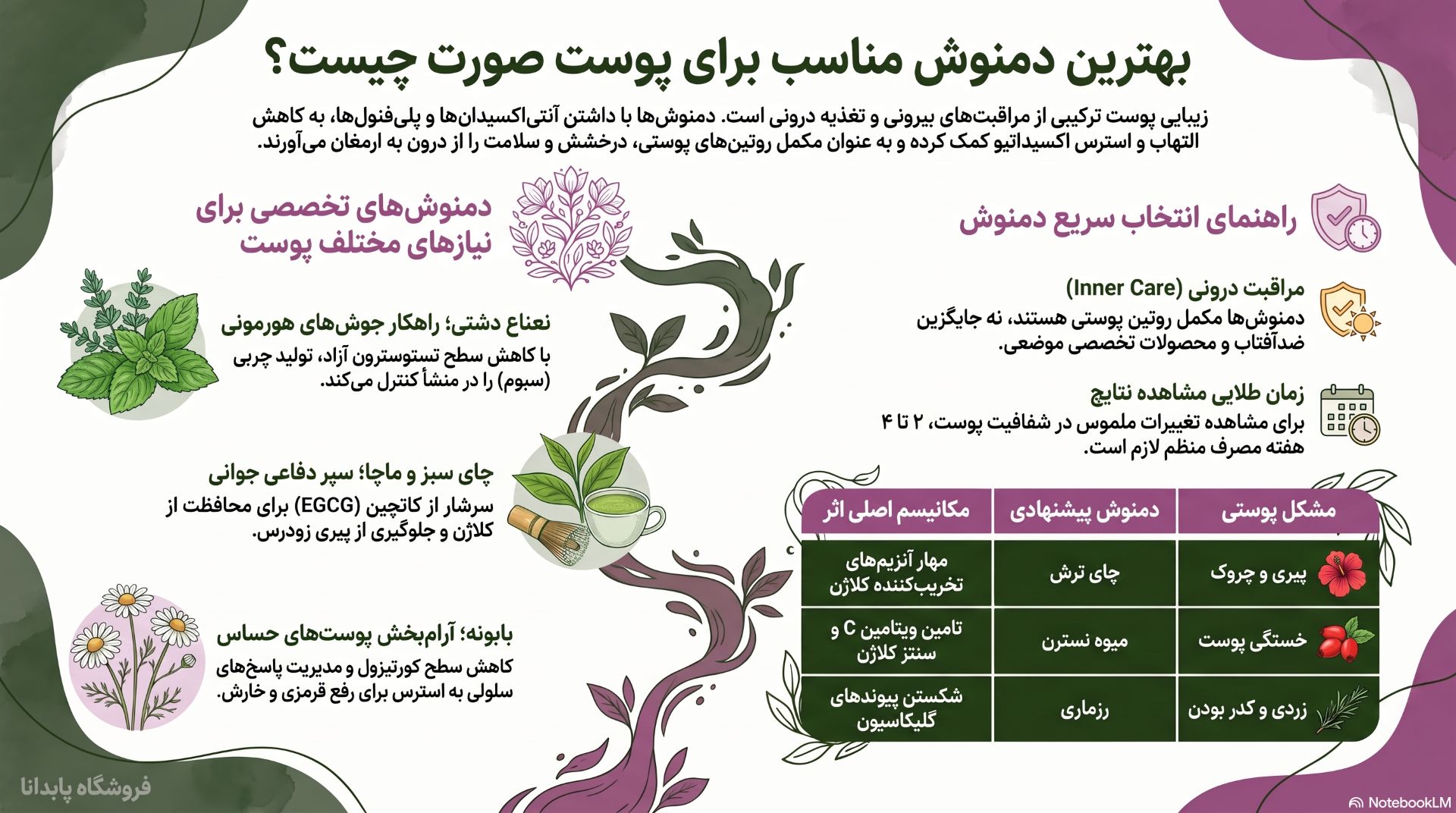 اینفوگرافیک بهترین دمنوش برای پوست صورت