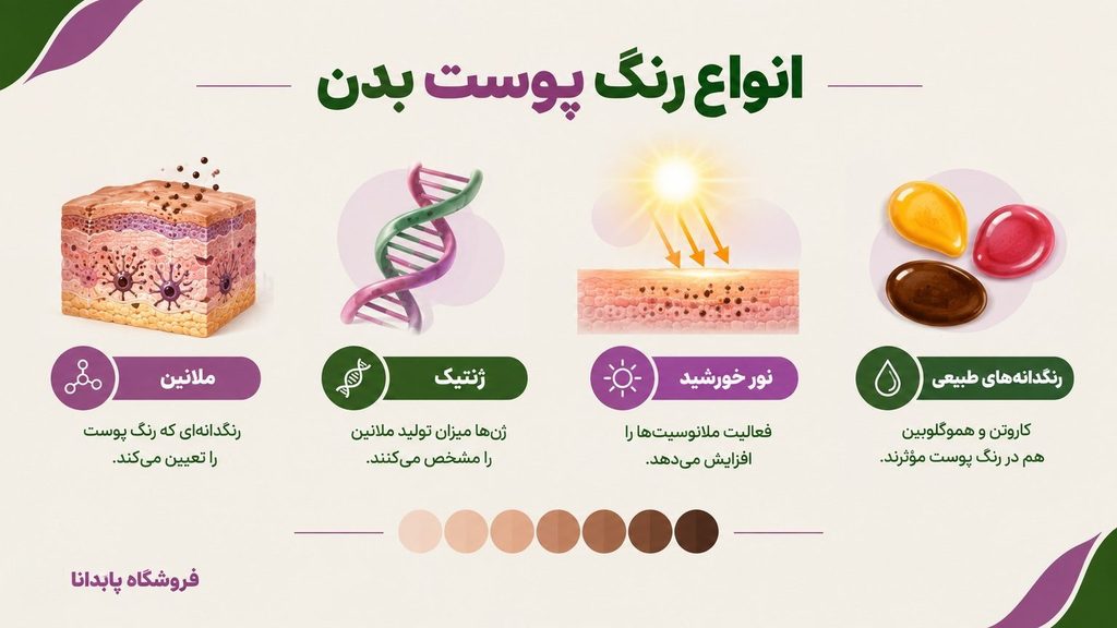 اینفوگرافیک تشخیص انواع رنگ پوست