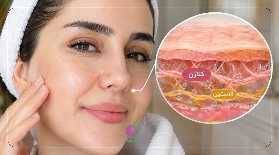 نقش کلاژن و الاستین در چین و چروک صورت